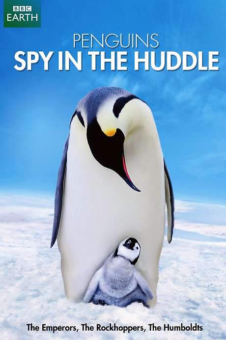 Penguins: Spy in the Huddle